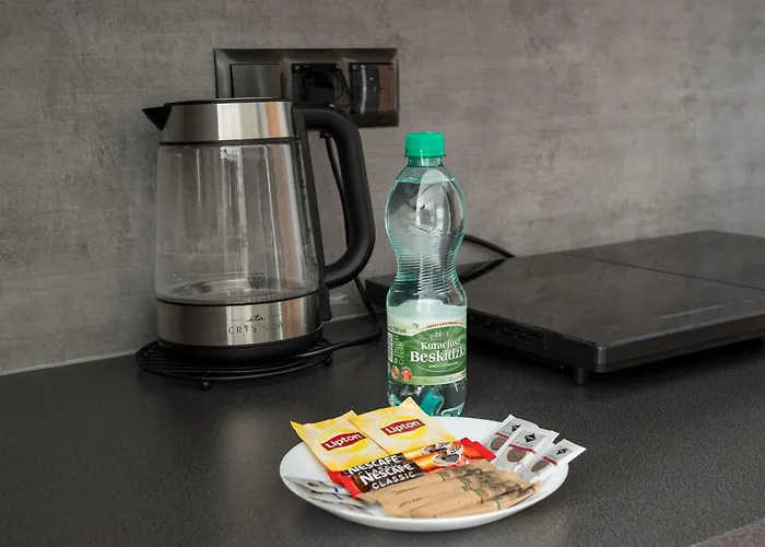 公寓 Torunska #b *